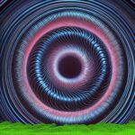 Hypnotic Spirals A Fusion of Nature and Mesmerizing Art